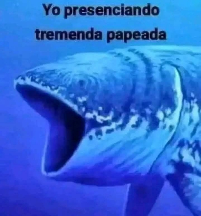 Cliente