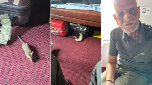 ट्रेन में चूहों का आतंक, एक पैसेंजर की नाक कुतर गया चूहा