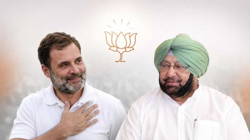 Rahul Gandhi Reveals His Favourite BJP Leader, Calls Him 'Cool' and Praises Military History Expertise