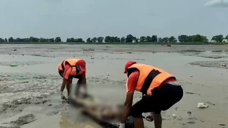 Nepal floods death toll rises rescue operations in Trishuli hydro project