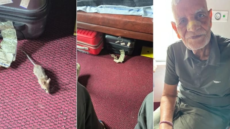 Chandigarh-Indore Express mein so rahe passenger ki naak chuhe ne kutri, Railway ki safai par uthe sawaal.