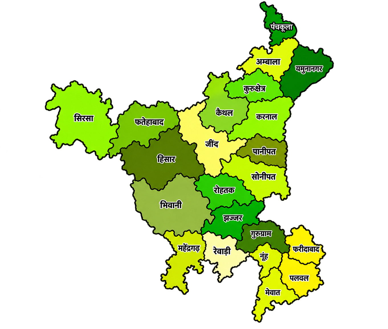 Haryana Ki Taza News - Get Latest Haryana Breaking News in Hindi latestnewsharyana News 24