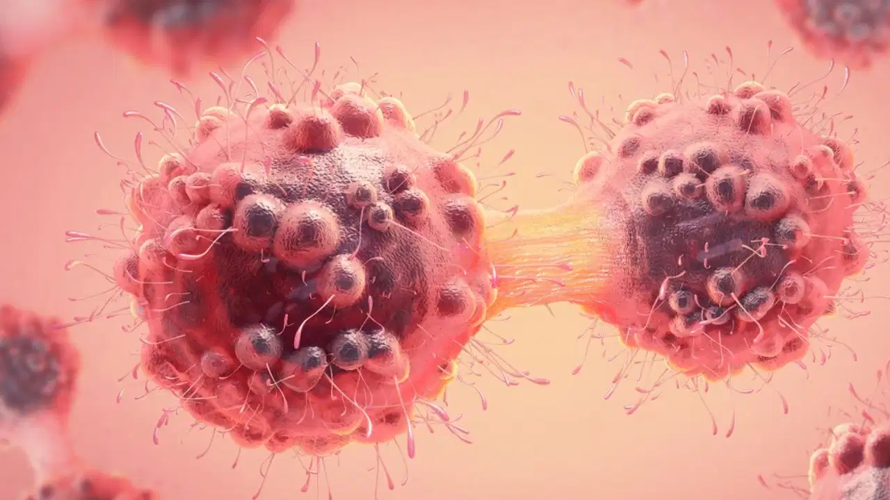 Cancer Drugs Cheap India