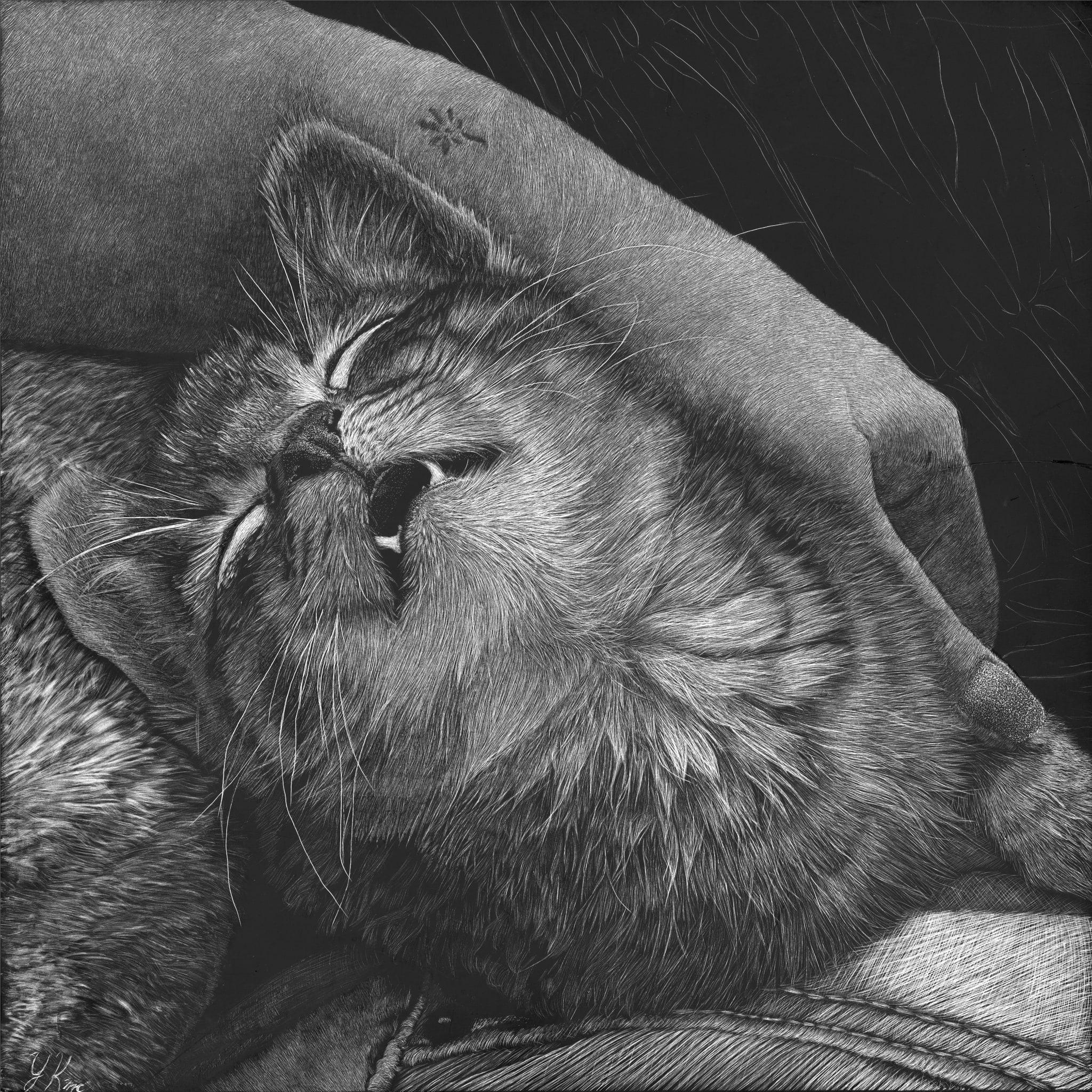 Vinny the cat, 8" x 8", 2024