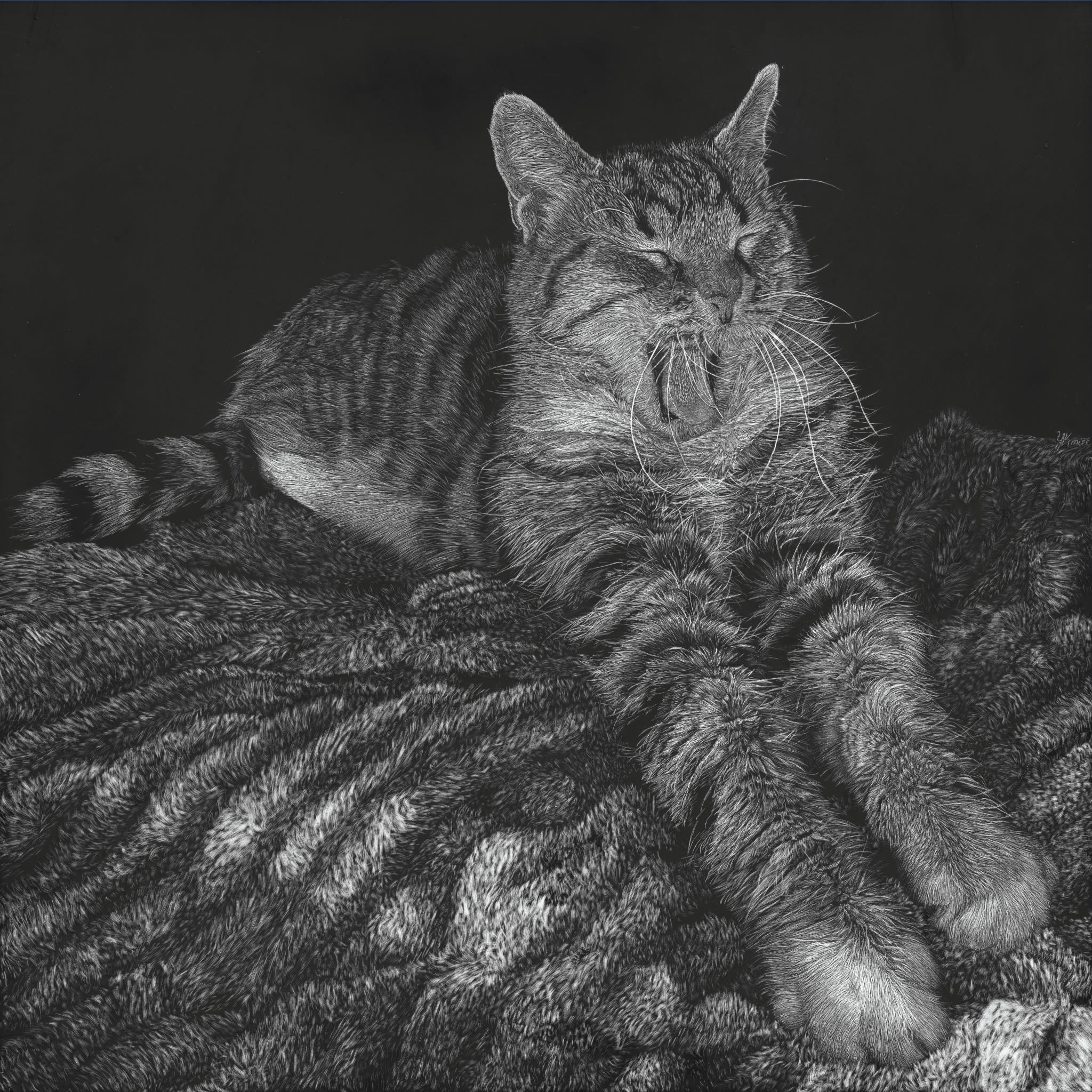 Polly the cat, 12" x 12", 2024