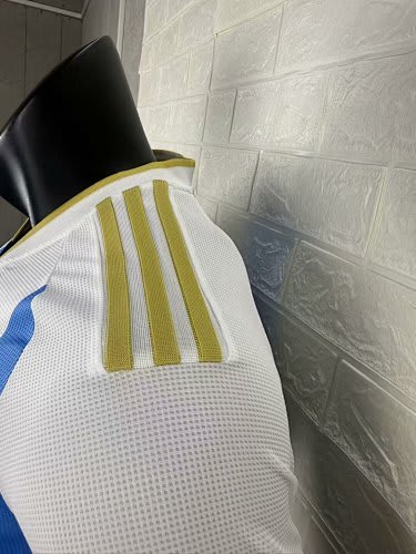 25 26 Players Argentina Home thumbnail 4