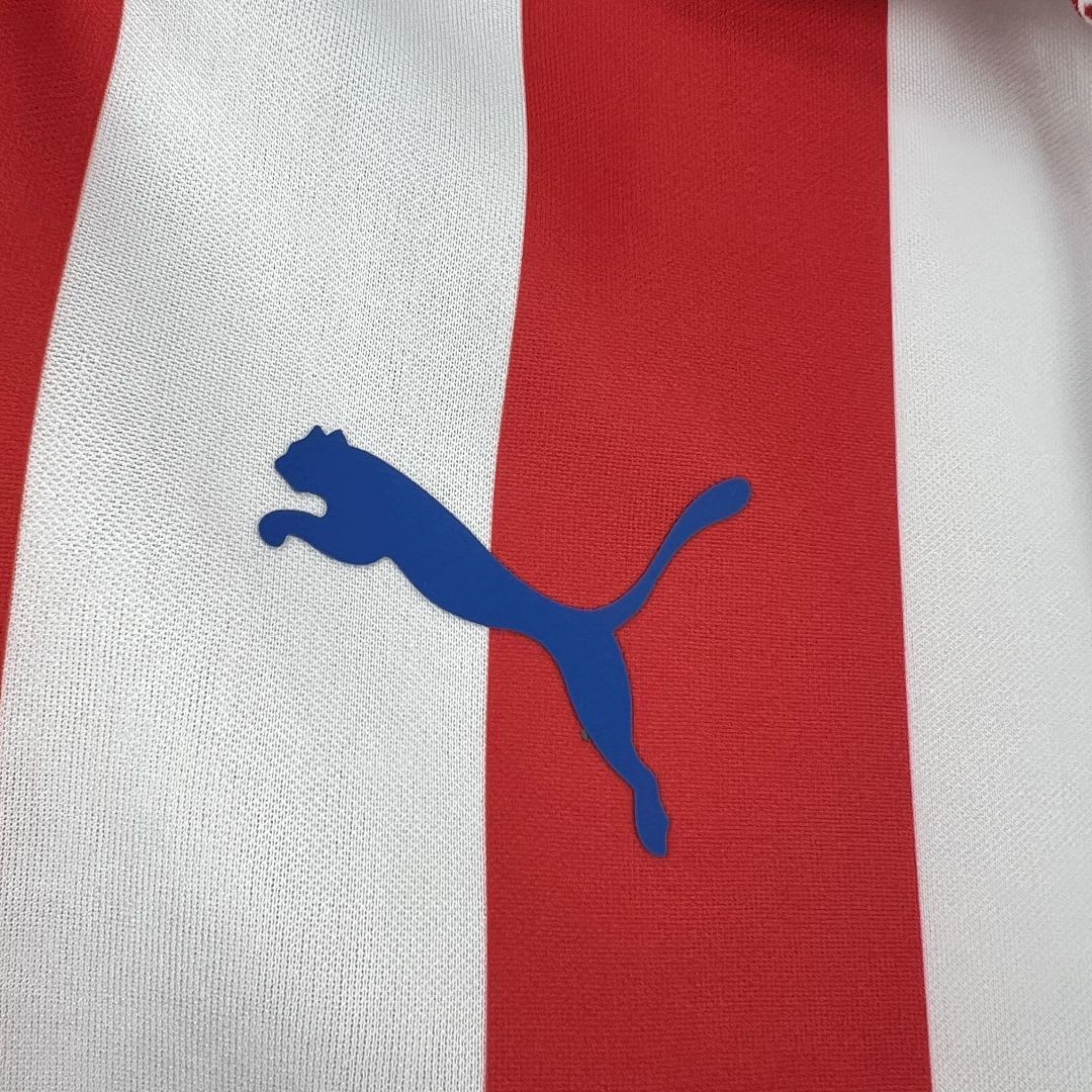 Retro 16 17 Chivas 110th Anniversary Long Sleeves Jeresy S XXL thumbnail 10
