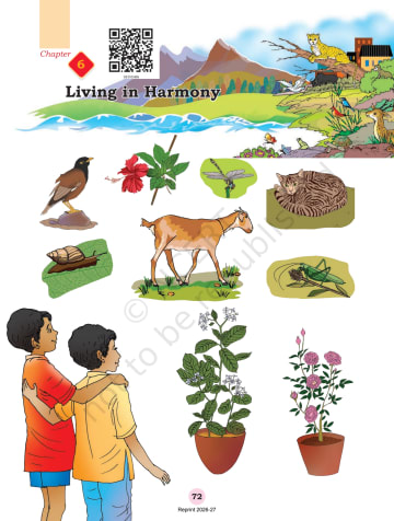 Our Wondrous World NCERT 3rd Chapter 6 preview