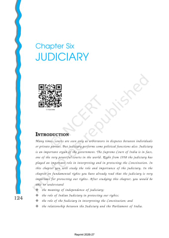 India Constitution at Work NCERT 11th Chapter 6 preview