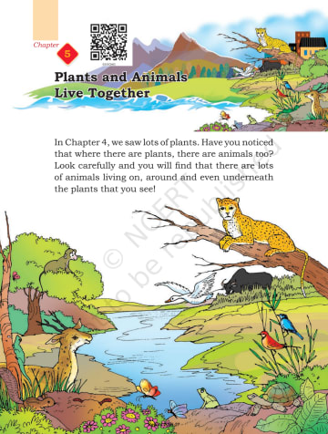 Bansuri arts NCERT 3rd Chapter 5 preview