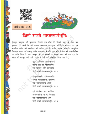Class 8 Ncert Books Sanskrit Chapter 13 preview
