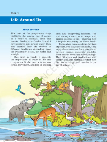 Our Wondrous World social science NCERT 5th preview