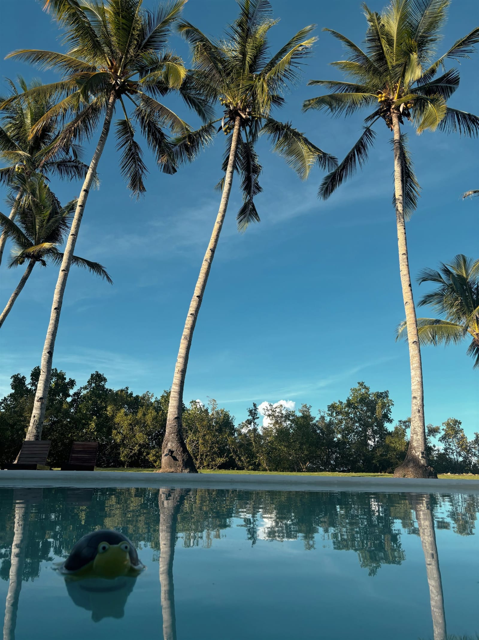 Private pool of the beach villa