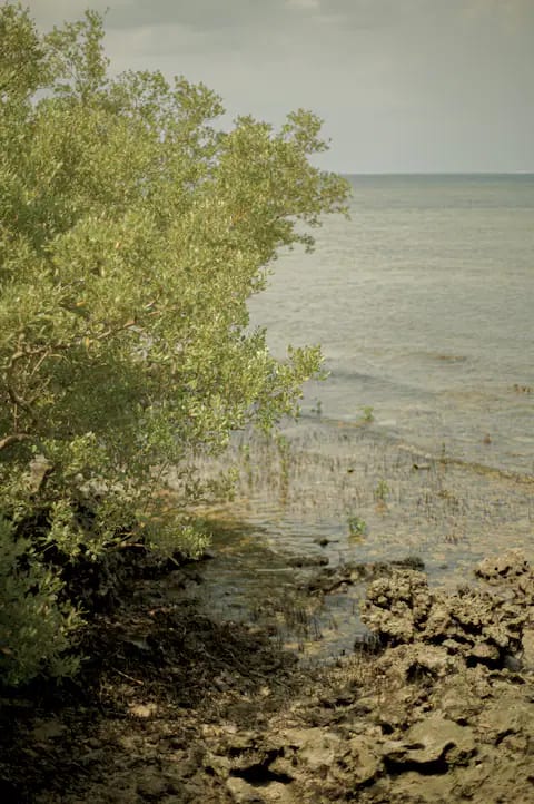 Ocean view from the villa