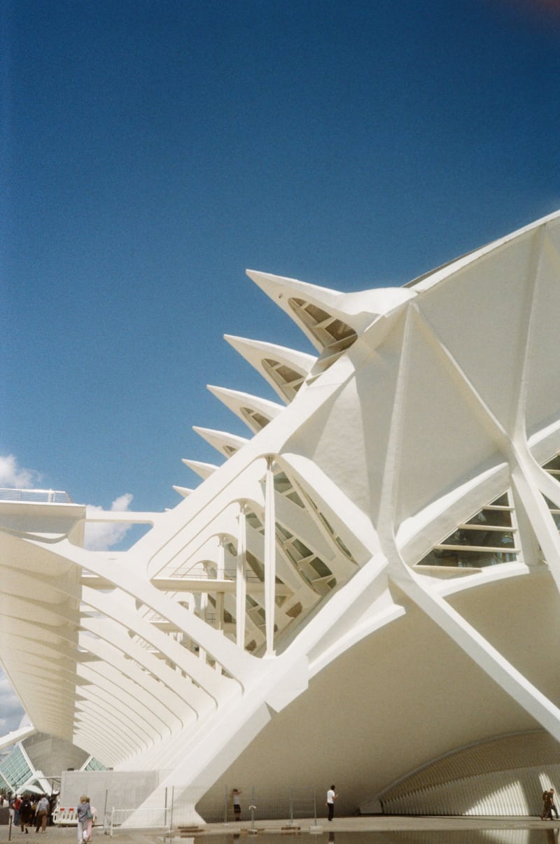 Roll 79650 — Frame 5