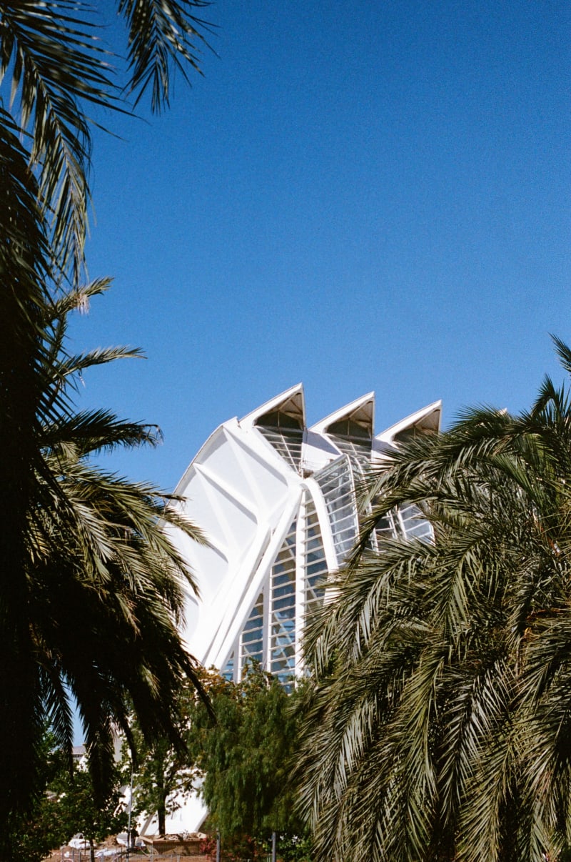 Roll 79670 — Frame 2