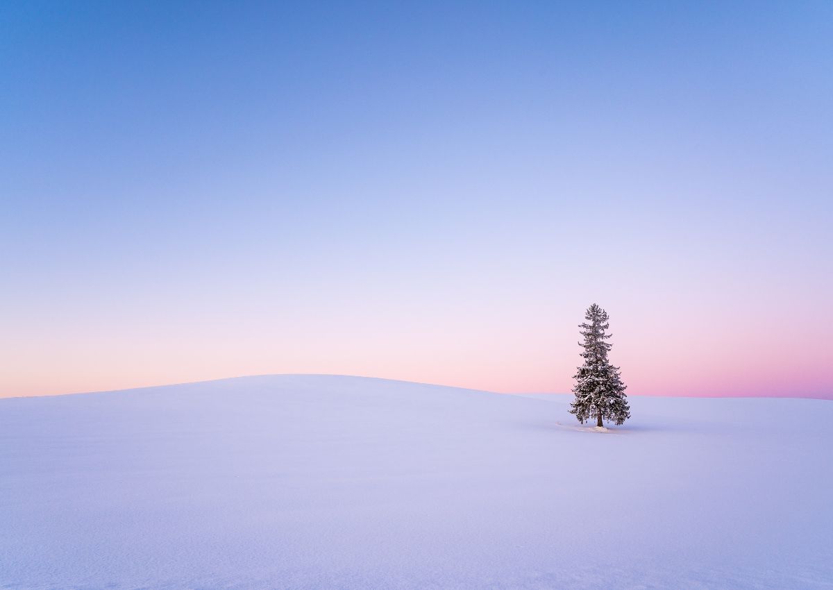 Hokkaido Winter Tour Package 6 Days