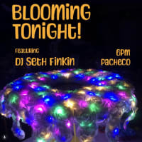 Jelly Jams with DJ Seth Finkin at Pacheco