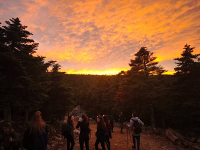 Hiking at Parnitha