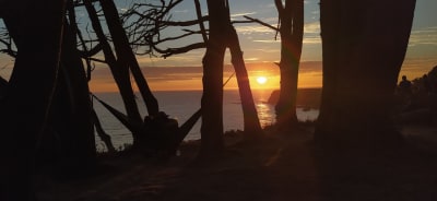 Davenport Beach Sunset