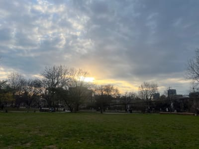 Schuylkill River Park Sunset