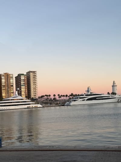 Palmeral de Las Sorpresas Sunset