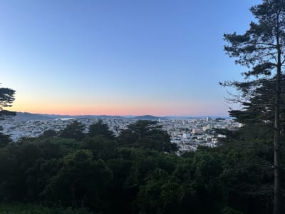 Buena Vista Park Sunset
