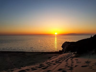 Sandhill Sunset