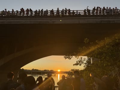 South Congress Bridge Sunset and bats🦇