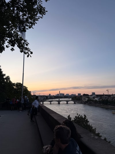 Basler Pfalz Sunset