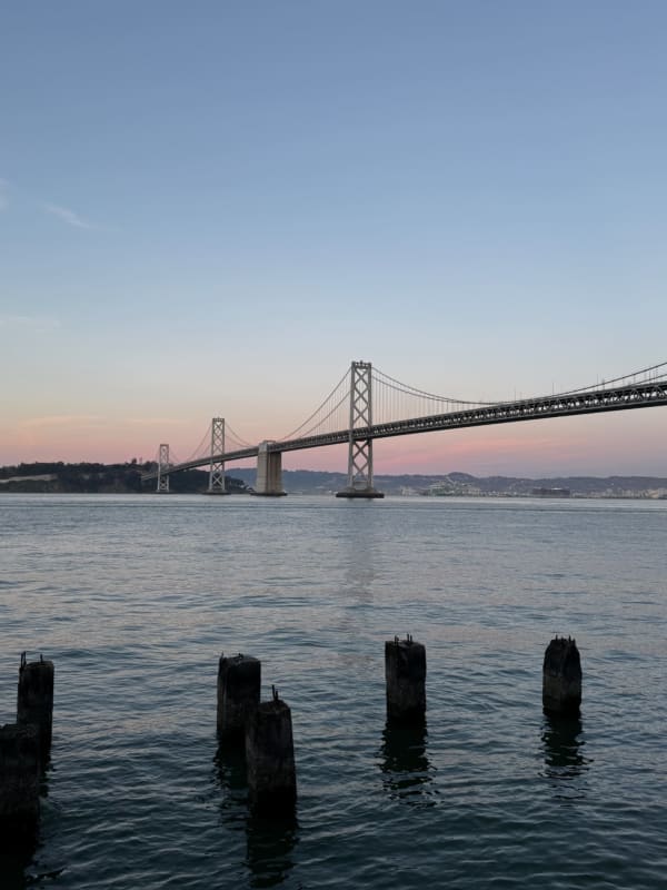 Sunset and Bay Lights Sail