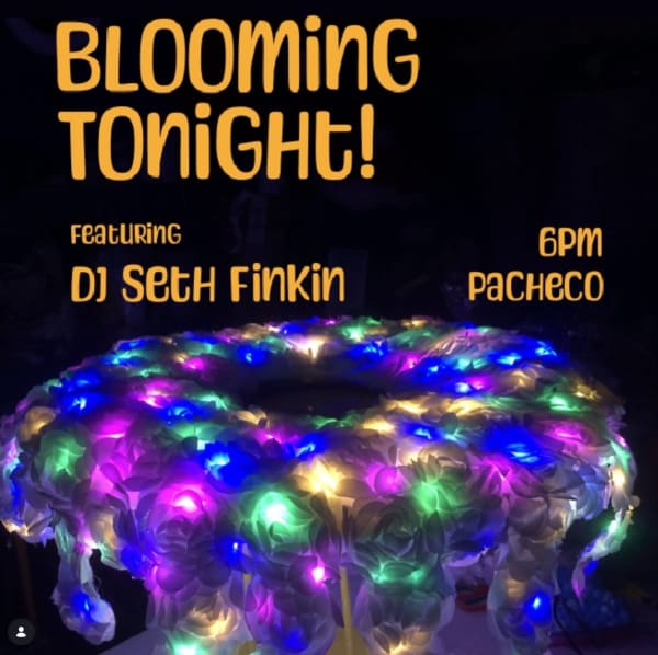 Jelly Jams with DJ Seth Finkin at Pacheco