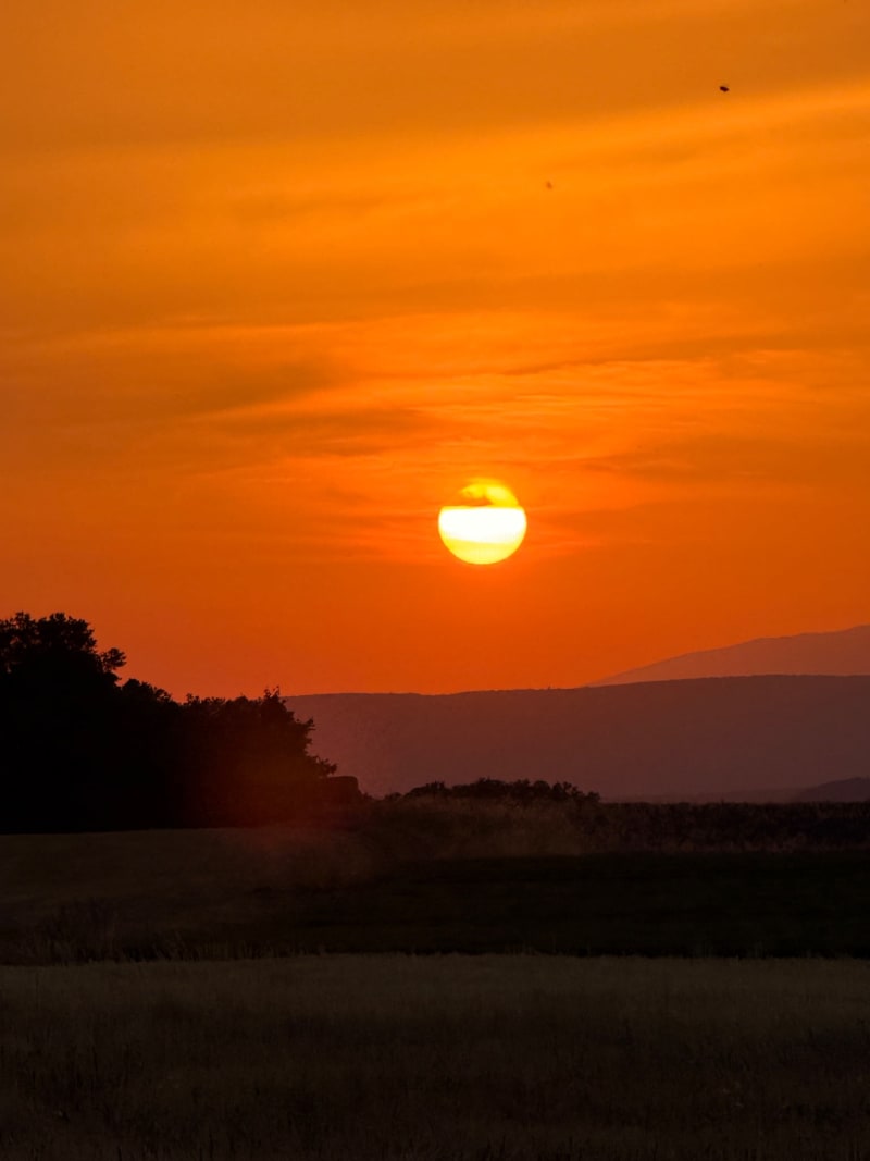 Valensole Sunset