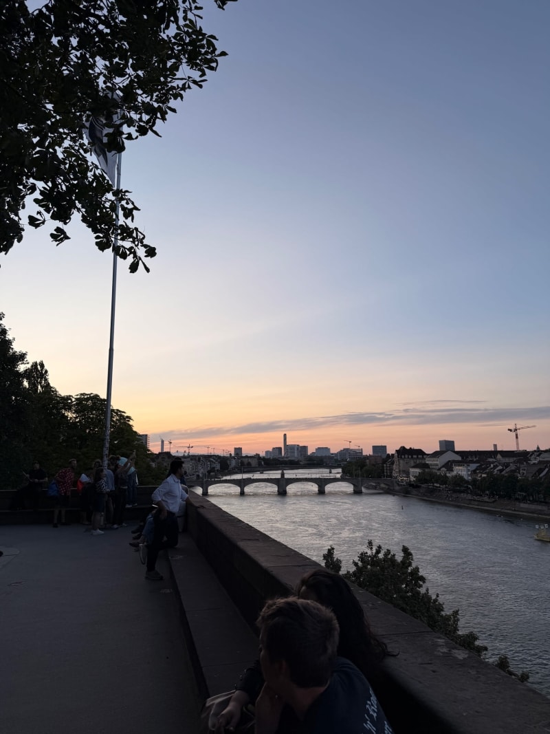 Basler Pfalz Sunset