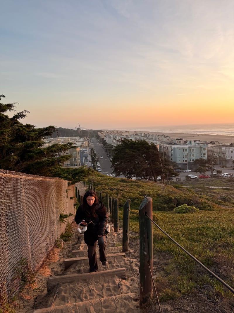Sutro Heights Sunset