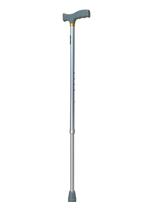 BAT-001P-02