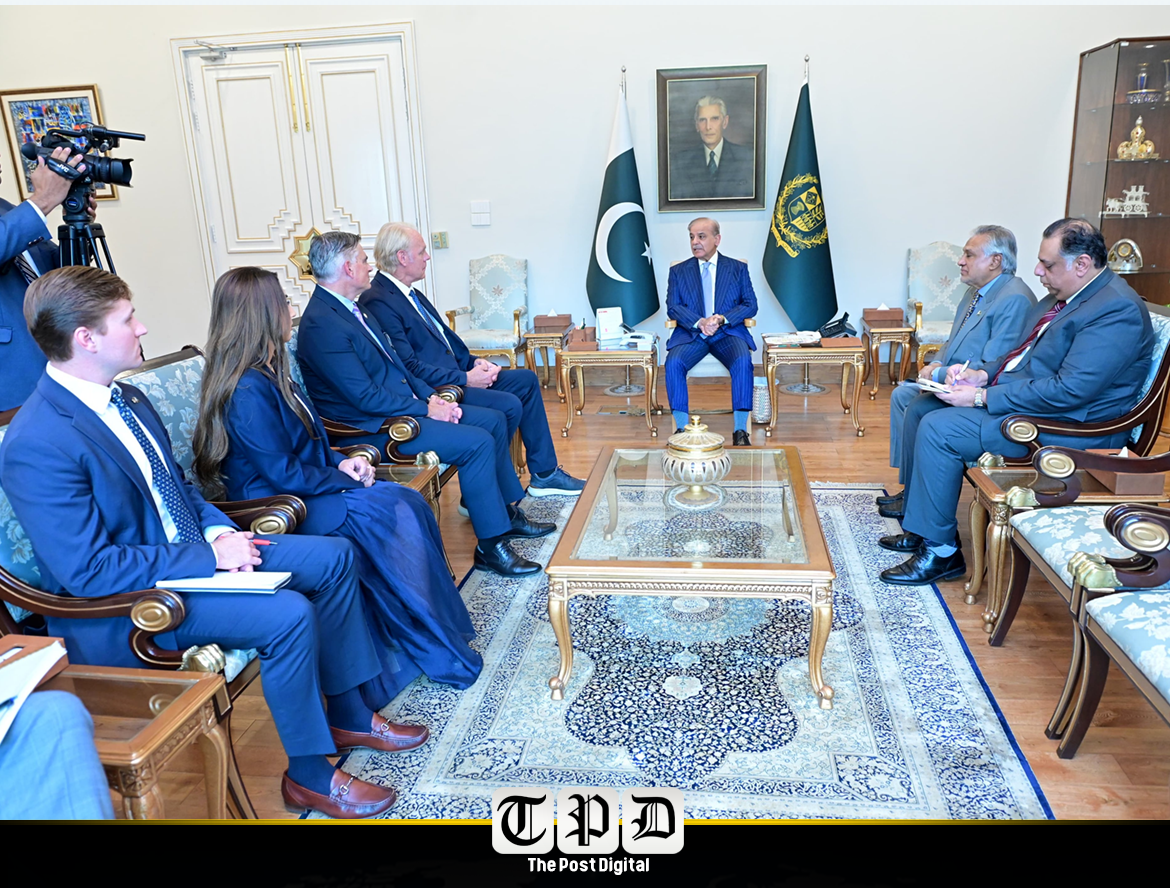 Delegation praises Pakistan's key role in promoting regional peace during meeting with Prime Minister Shehbaz Sharif; both sides vow to expand cooperation in trade, IT, agriculture, and energy.