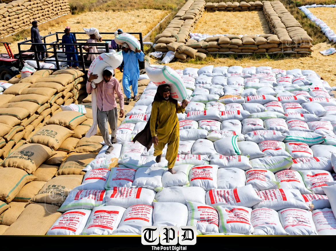 ٹی سی پی نے عالمی ٹینڈر جاری کردیا، سندھ کو 3 لاکھ، پنجاب کو ڈھائی لاکھ اور خیبرپختونخوا کو 2 لاکھ ٹن گندم فراہم کی جائے گی