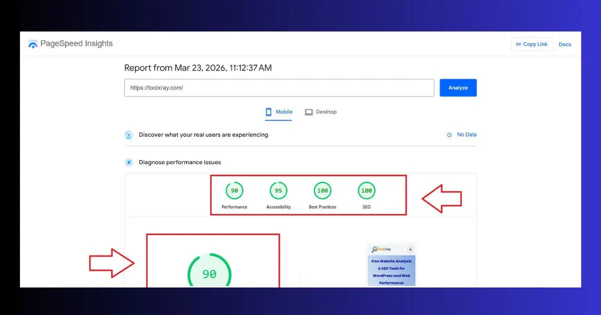 pagespeed insights mobile tab score check website mobile friendly performance