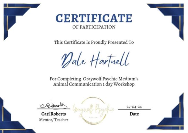 Certificate 3