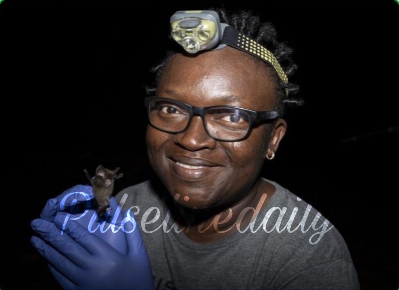 Nigerian of the Week: Dr. Iroro Tanshi The Woman Who Found a Lost Bat Species, Built an Army of Village Firefighters, and Won the World’s Green Nobel Prize