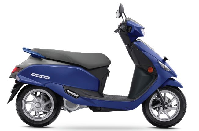 Suzuki E-Access (Electric) + Charger