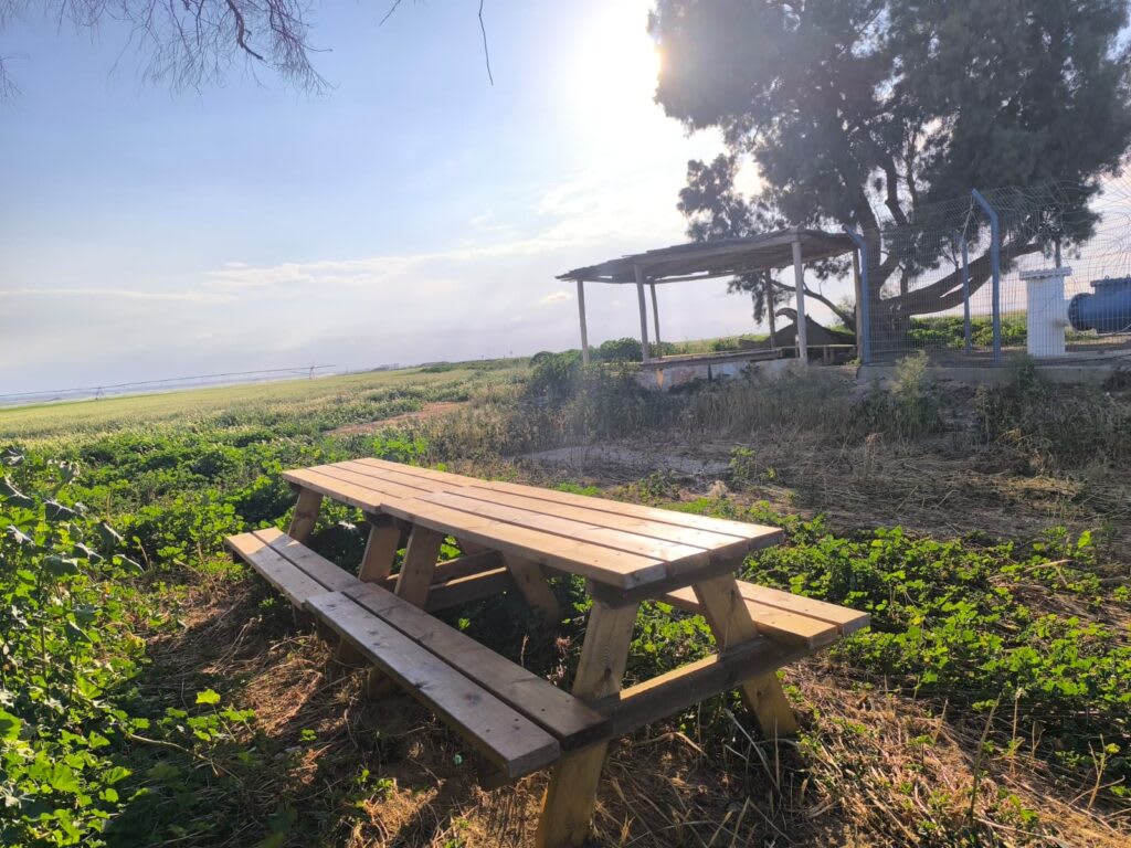 מצפה נירים