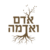 לוגו 23