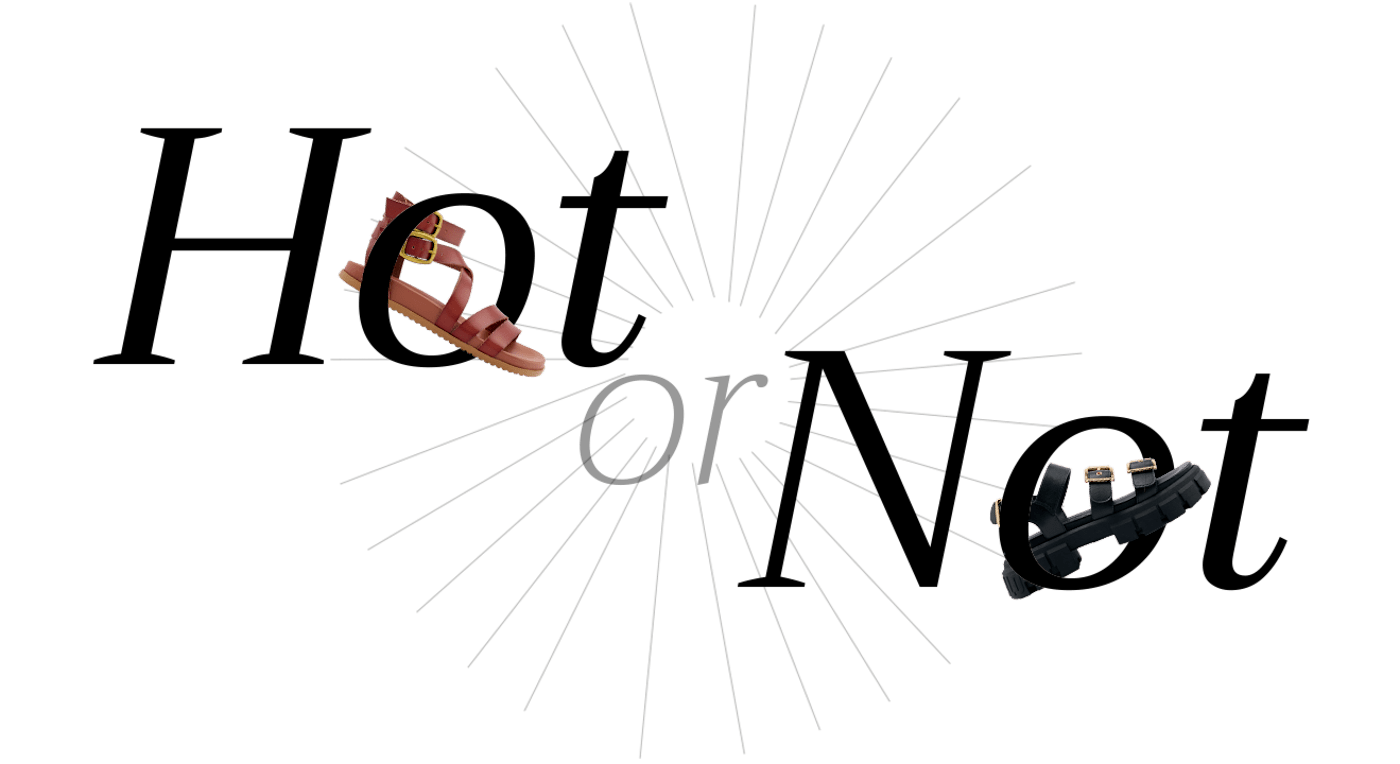 Schriftzug "Hot or Not" mit Römersandalen als Freisteller, vor weißem Hintergrund, Thema Römersandale