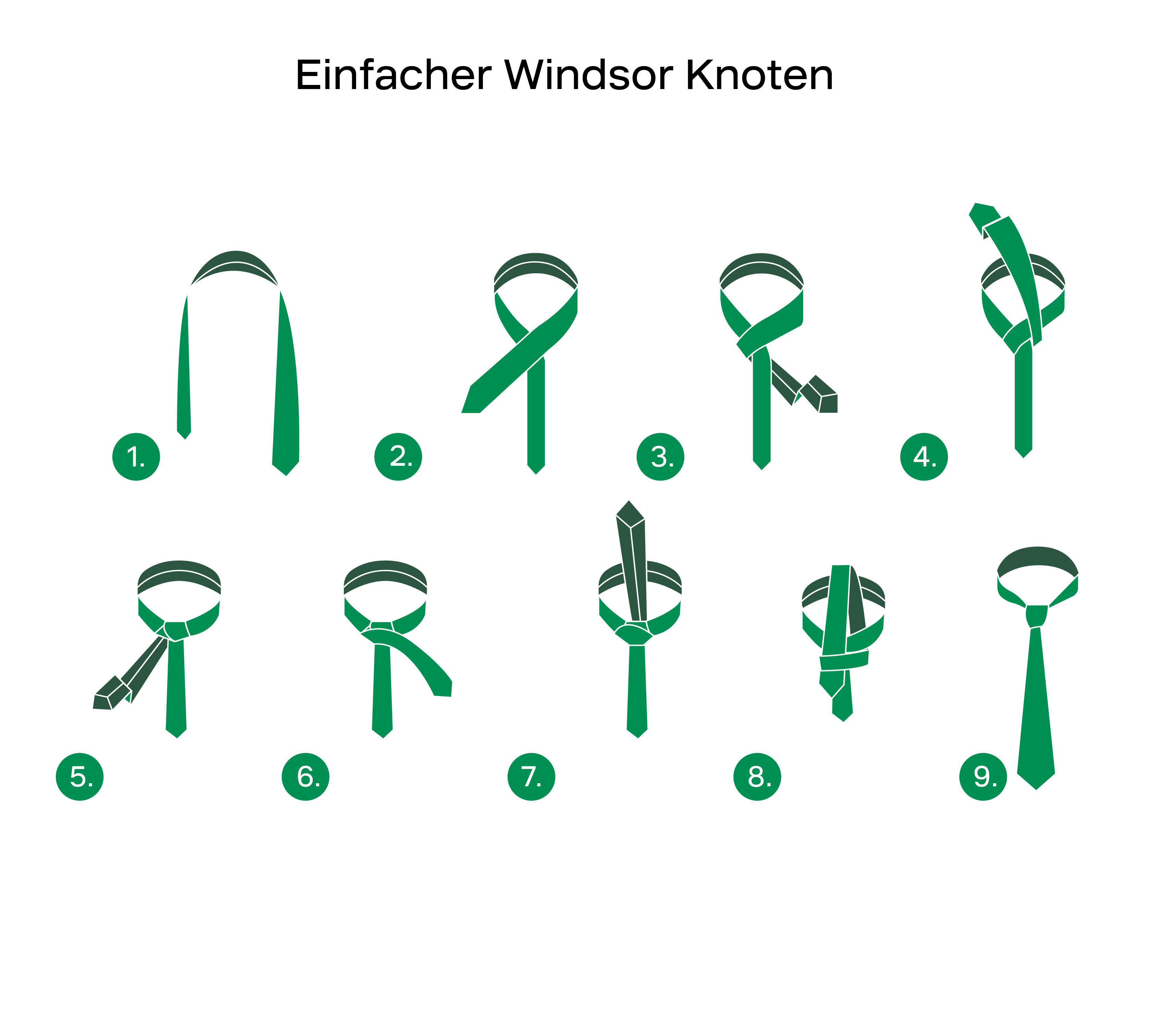 Grafische Darstellung des einfachen Windsor-Knotens