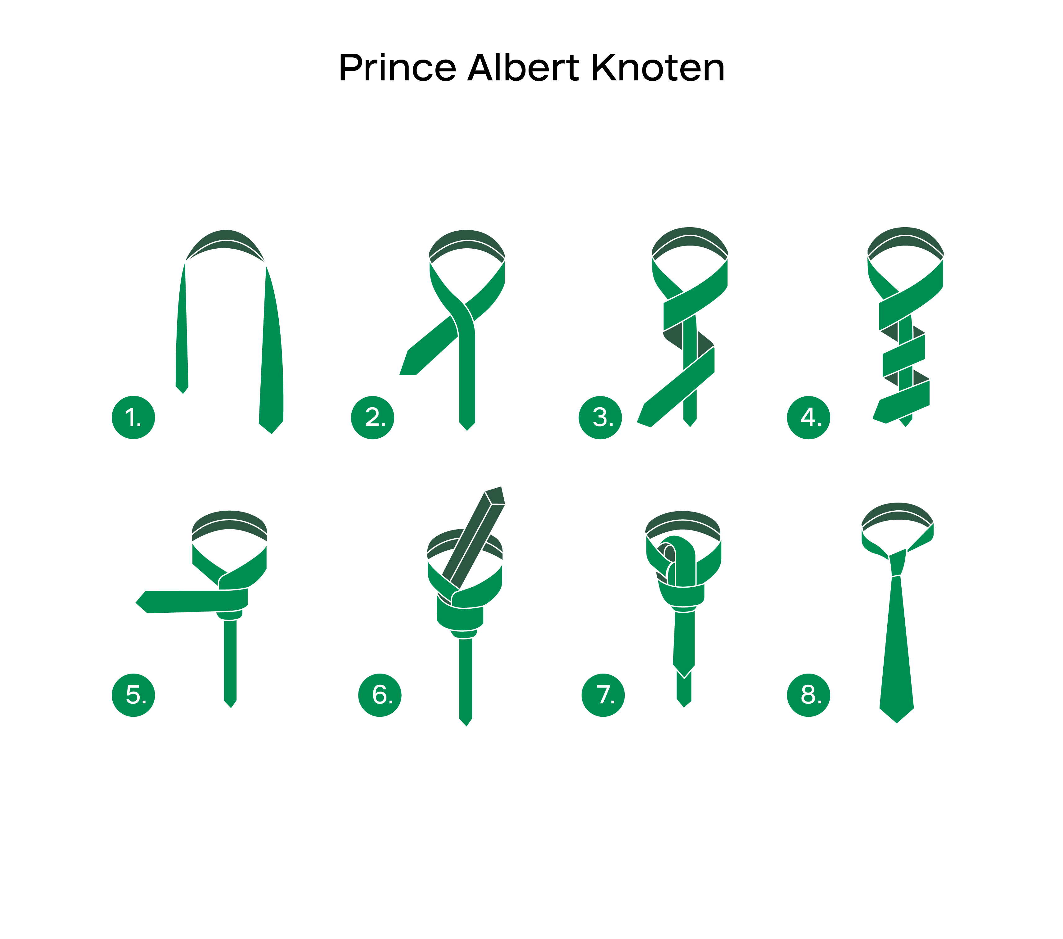 Grafische Darstellung des Prince Albert-Knotens