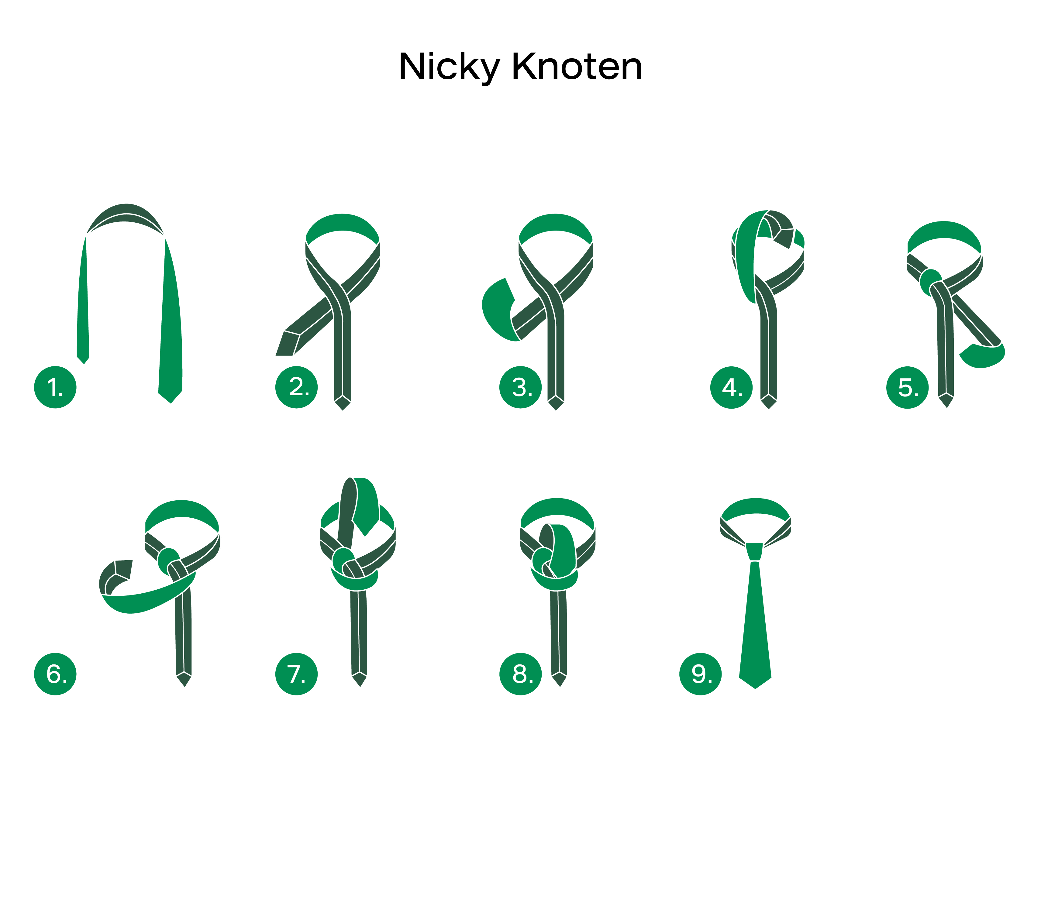 Grafische Darstellung des Nicky-Krawattenknoten