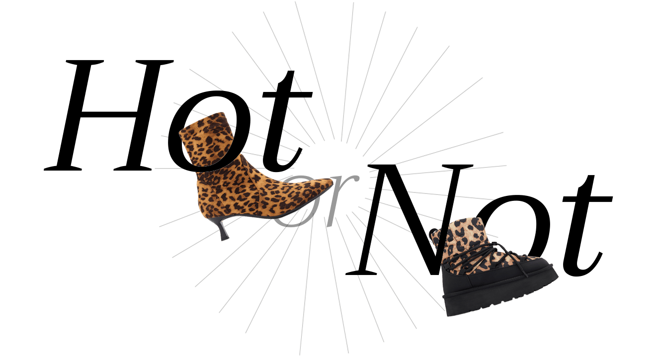 Schriftzug "Hot or Not" mit Schuh-Freistellern, vor weißem Hintergrund, Thema Animal Print