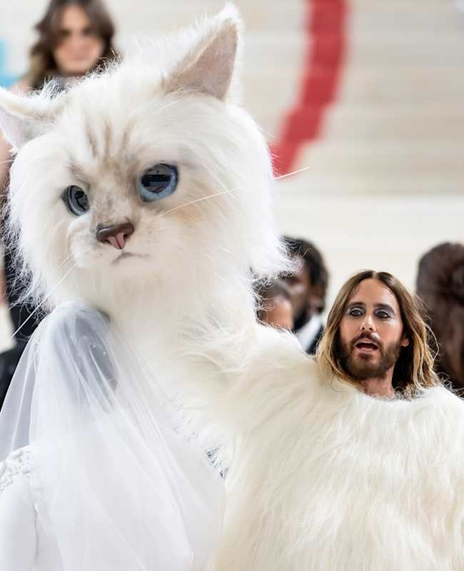 Schauspieler Jared Leto in Katzen-Kostüm